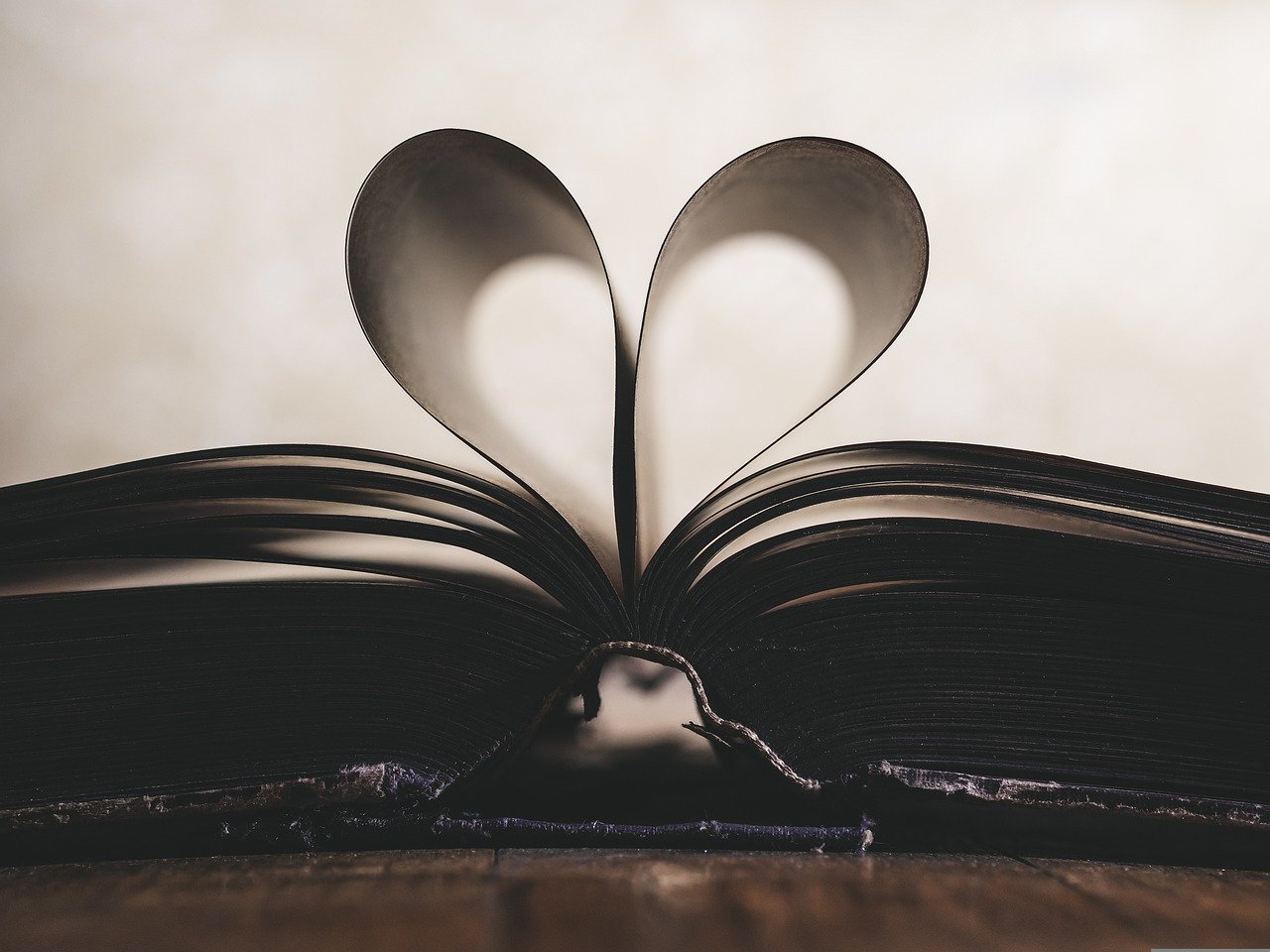 October Reading Delights